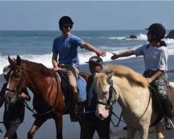 horse_riding_bali_10