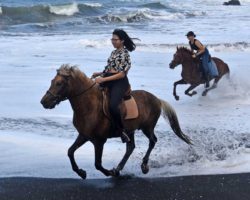 horse_riding_bali_11