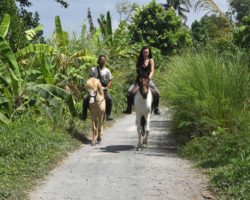 horse_riding_bali_19