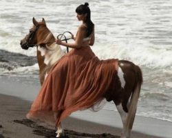 horse_riding_bali_27