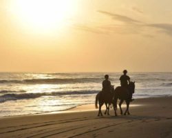 horse_riding_bali_29