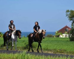 horse_riding_bali_3