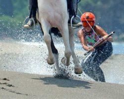 horse_riding_bali_30