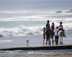 horse_riding_bali_31