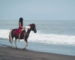 horse_riding_bali_34