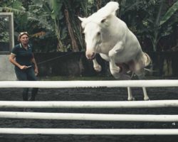 horse_riding_bali_36