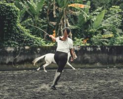 horse_riding_bali_37