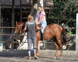 horse_riding_bali_51