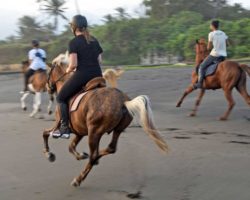 horse_riding_bali_8